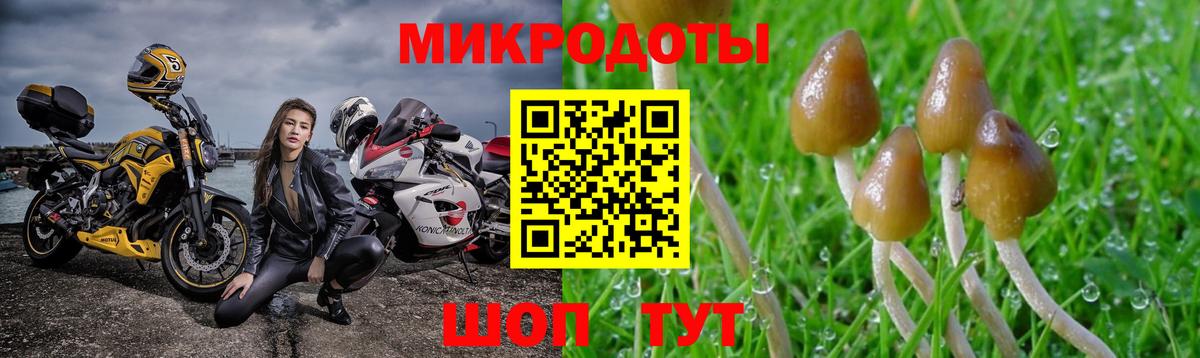 Усолье-Сибирское  Галлюциногенные грибы Psilocybine cubensis  Вход с VPN 